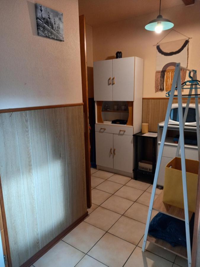 Les Appartements Du Lion De Belfort Exterior photo