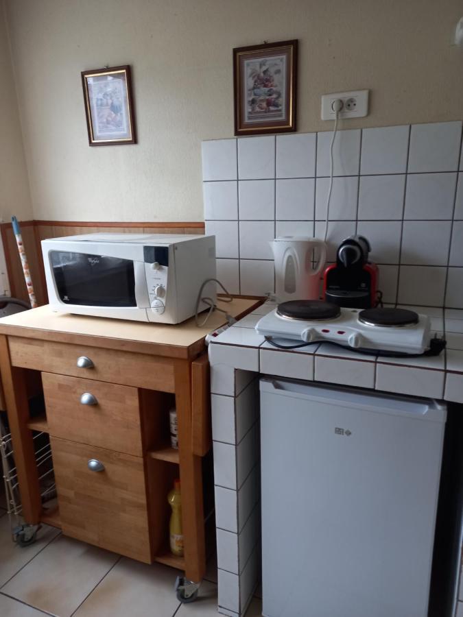 Les Appartements Du Lion De Belfort Exterior photo