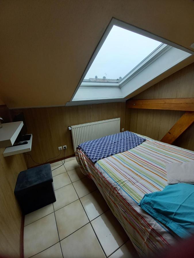 Les Appartements Du Lion De Belfort Exterior photo